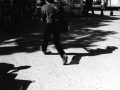 img019