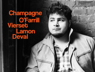 anvert-randomhouse-fly_3-adam