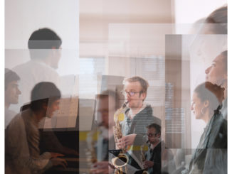 S.Klenes-S.Debaisieux-B.DeLooze_an_vert